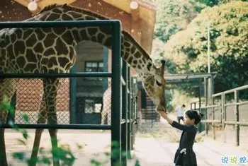 一个人挺好的霸气说说文案伤感