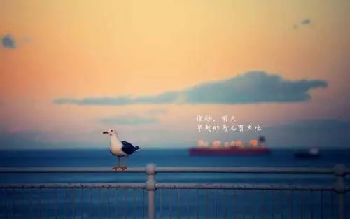 佛系励志句子文案