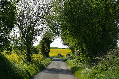 暗恋却不敢说的古诗句文案