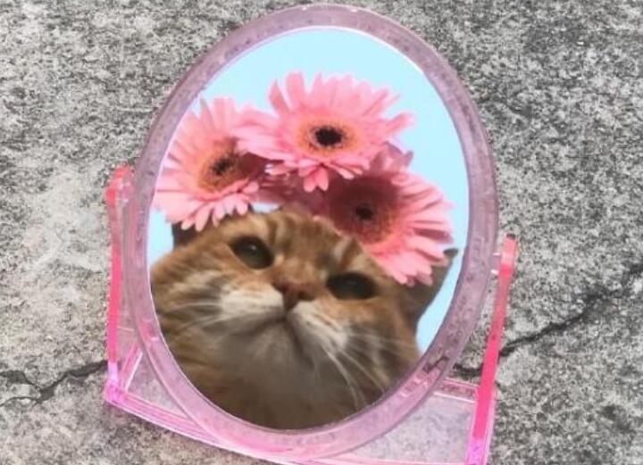 被盗号的个性签名