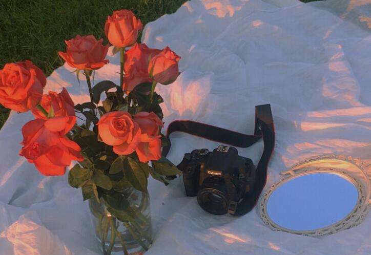 文艺透着骚的句子文案