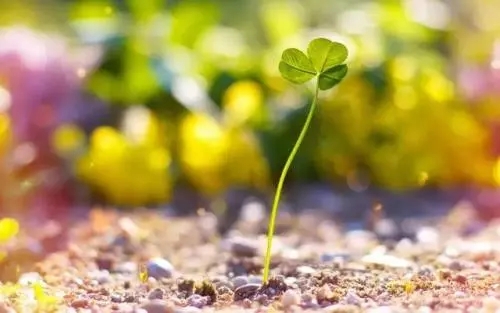 人生励志语录经典句子文案50字