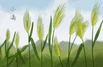 用一种节气写一段话