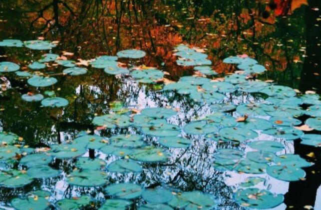 简短散文句子文案