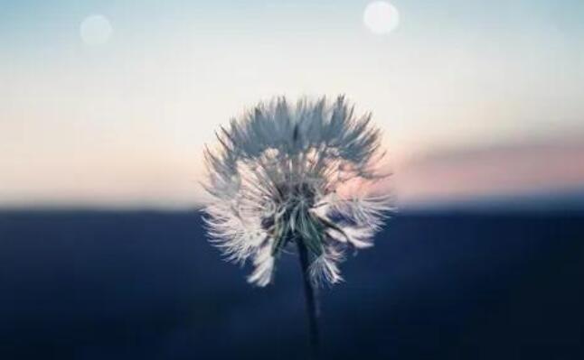 抄写优美词语和句子文案