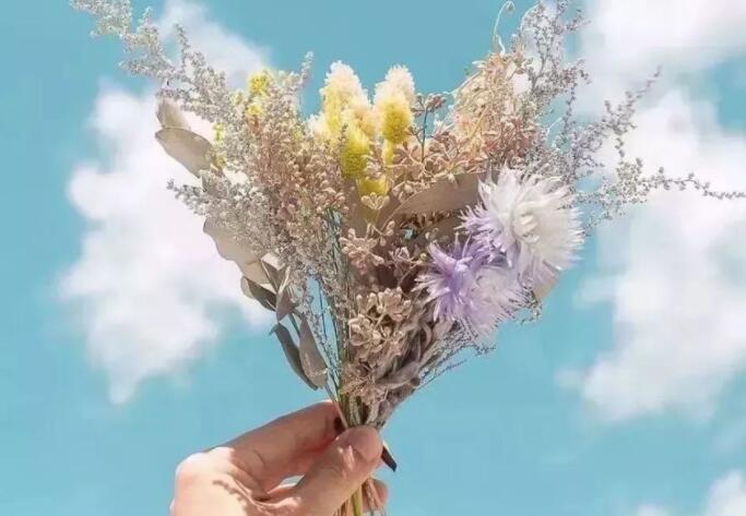 带特殊符号的句子文案