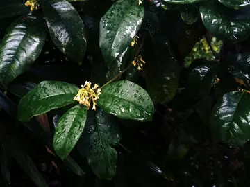 春天下雨的心情说说文案