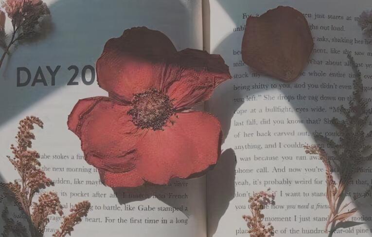 人生早安说说文案短语