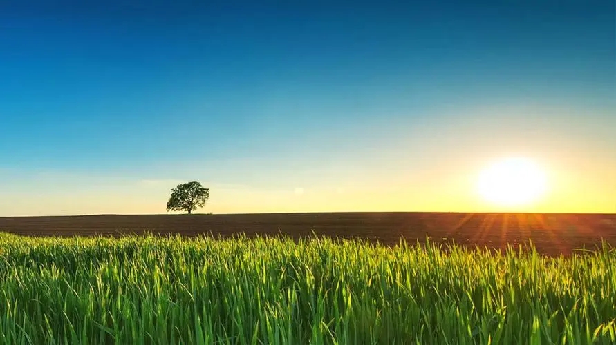 展望未来的霸气诗句文案