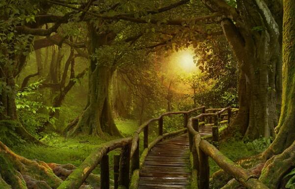 形容早晨美好的诗句文案