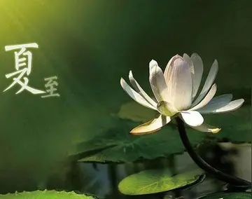 用一种节气写一段话