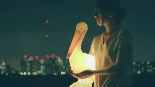 孕期对老公心寒的说说文案