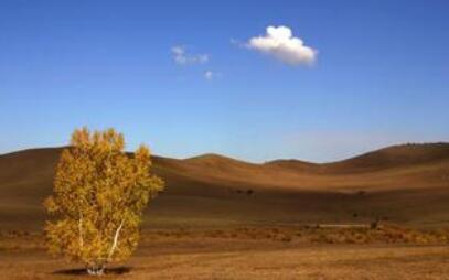 优美励志的古风句子文案