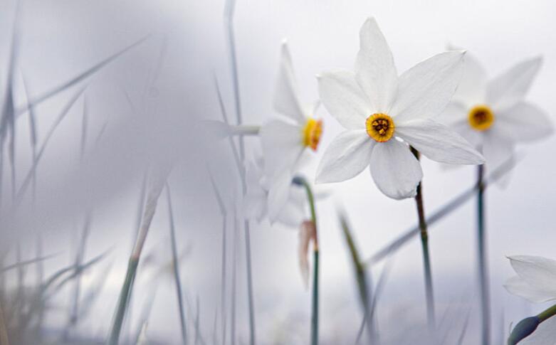 积累的语录文案