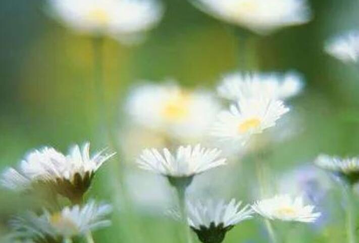 爷爷刚离世的心情短语