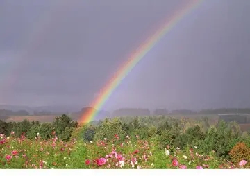 雨过天晴的朋友圈文案