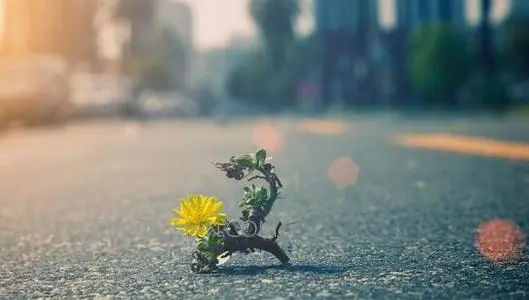 适合小学生的名言警句励志