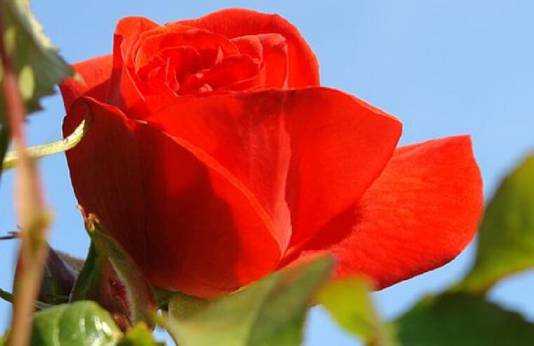 收获的心情说说文案