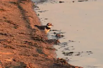 人生没有草稿名言名句文案