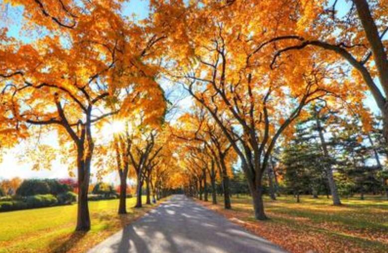 秋天的赞美心情说说文案