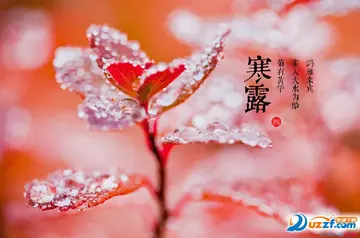 描写寒露的唯美句子文案