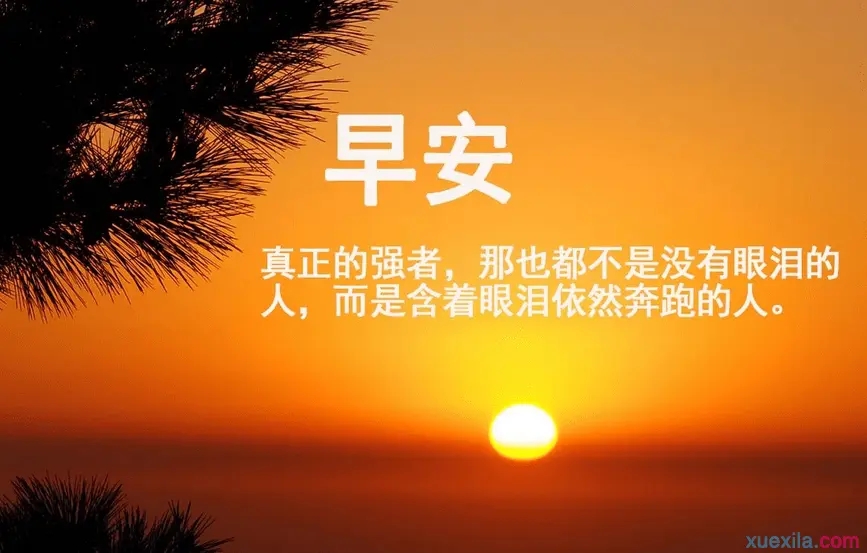 群早安语录正能量的句子文案