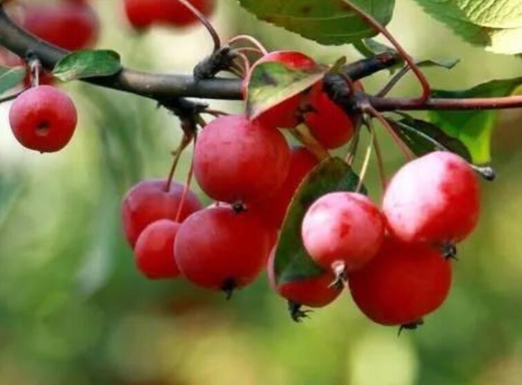 祝愿公司发展蒸蒸日上的话