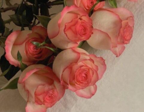 生日祝福语16字短句