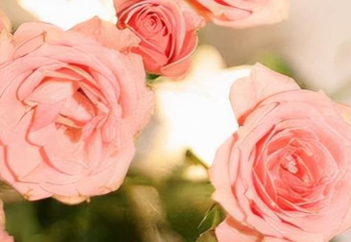 早安问候语大全最美一句话