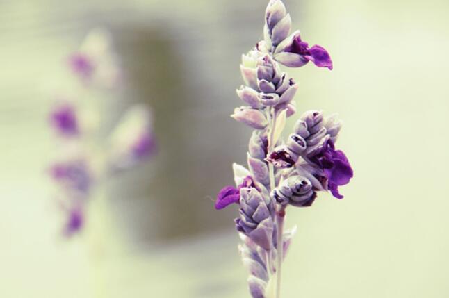 工作生活哲理句子文案精辟