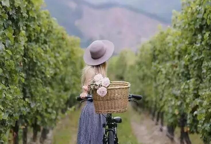 描写女人辛苦的句子文案