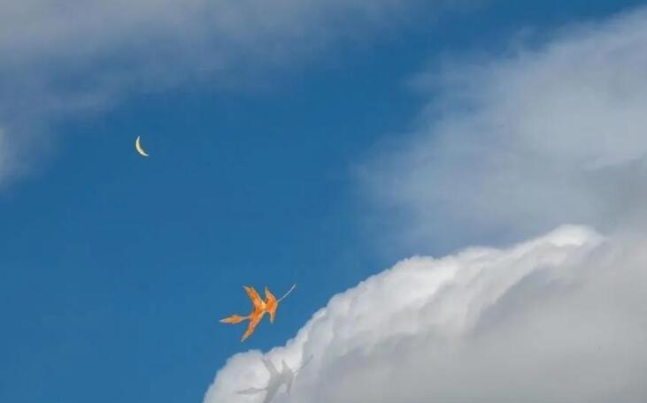 每周原创句子文案