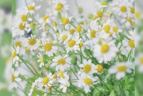 微信早安问候语正能量简单