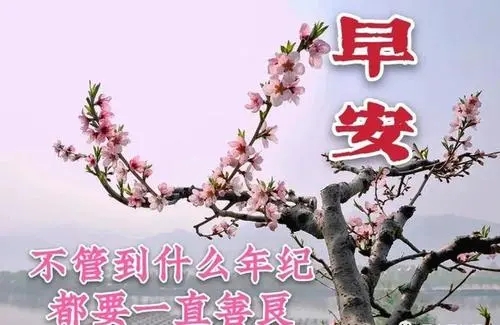 早上好健康快乐每一天句子文案