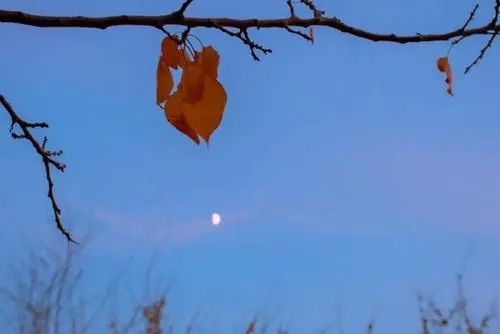 关于开朗的优美句子文案