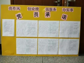 党员初心墙寄语