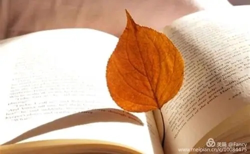 关于珍惜时间的诗句文案古诗