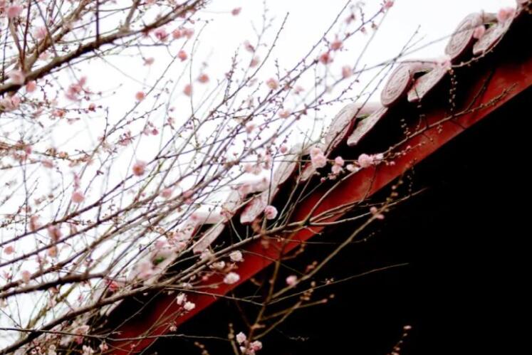 描写冬天的古诗小学