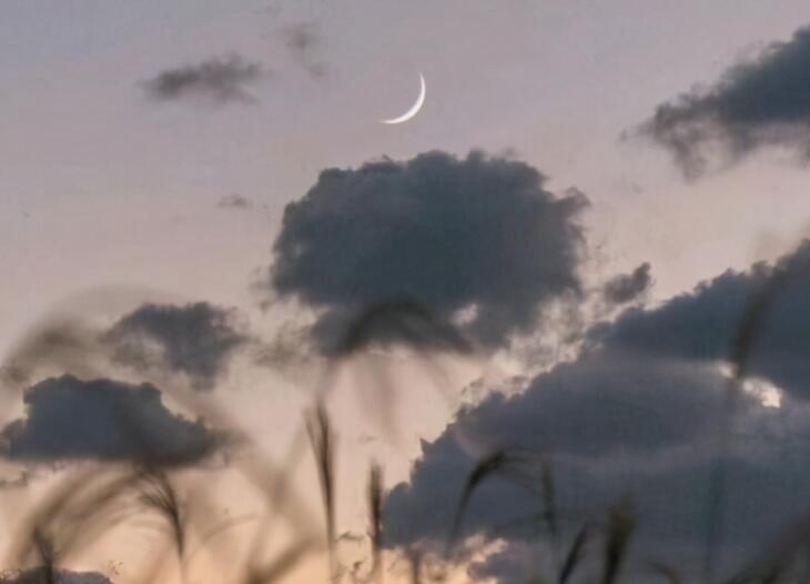 经典小说句子文案摘抄