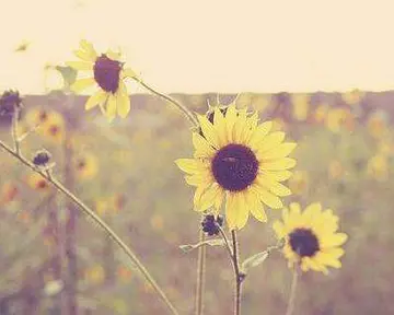 男人励志早安心语正能量