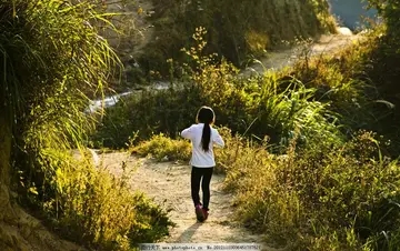 乡间的小路美景的短语