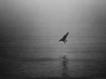 优美句子文案抖音