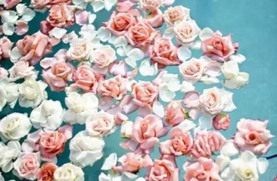 张爱玲所说的名言警句