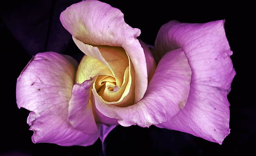 爱一个人心累的句子文案