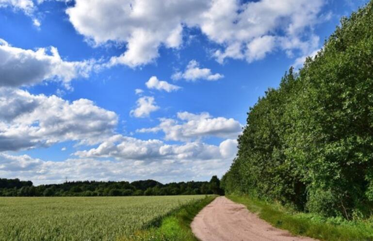 能量满满的早安语录文案