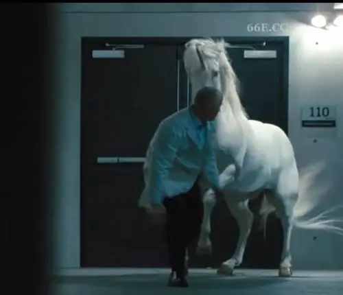 经典一句话影评