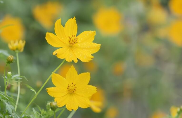 人生哲理句子文案精辟简短