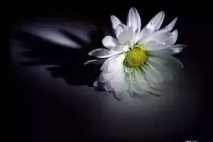 怀念亲人怎么发朋友圈