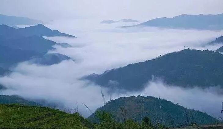 跟雾有关的句子文案