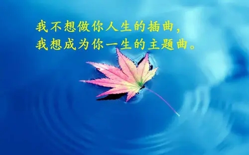 人生感悟美好的句子文案